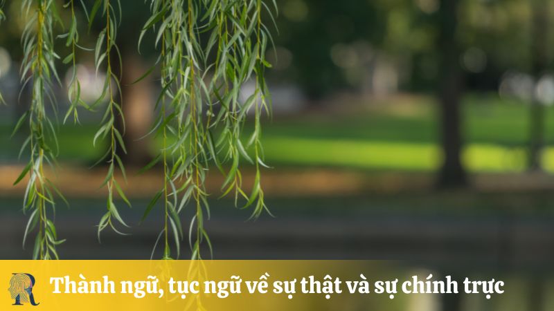 Thành ngữ, tục ngữ về sự thật và sự chính trực