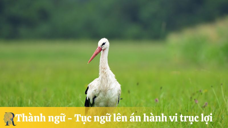Thành ngữ - Tục ngữ lên án hành vi trục lợi