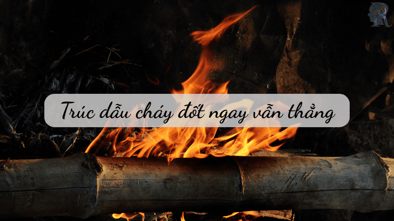 Trúc dẫu cháy đốt ngay vẫn thẳng