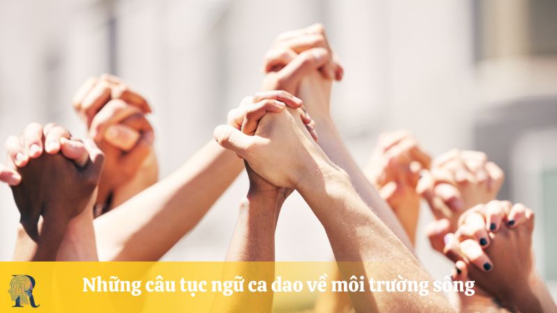 Những câu tục ngữ ca dao về môi trường sống