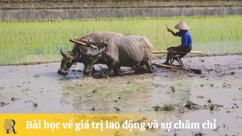 Bài học về giá trị lao động và sự chăm chỉ