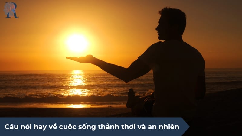 Cuộc đời thảnh thơi giúp bạn cảm thấy nhẹ nhõm và dễ dàng chấp nhận mọi chuyện