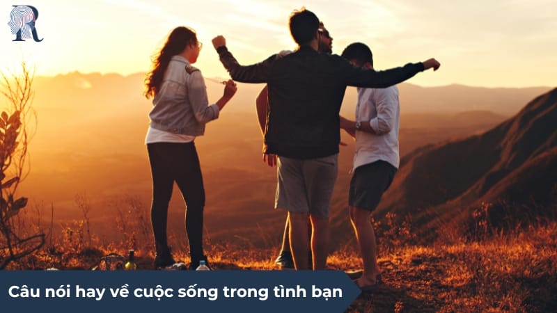 Câu nói hay về tình bạn giúp củng cố mối quan hệ thêm vững chãi