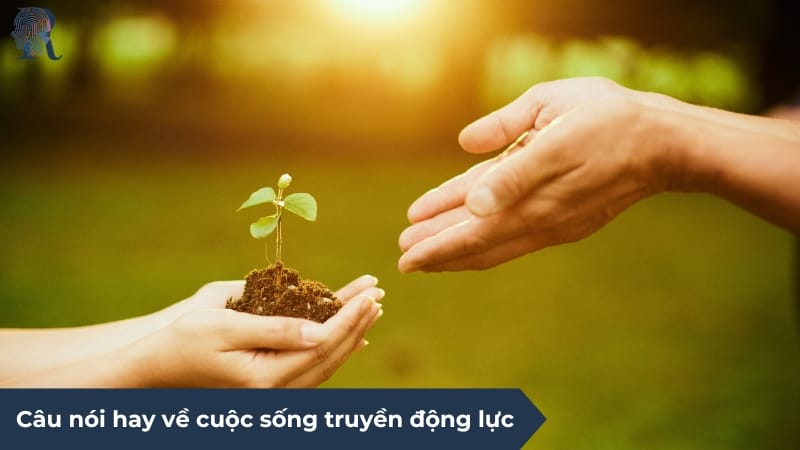 Những câu nói hay truyền động lực giúp bạn vượt qua mọi thử thách