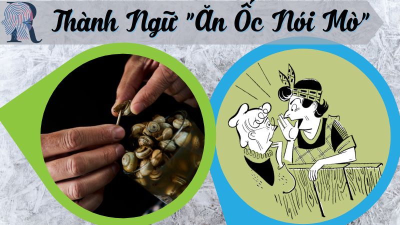 Thành Ngữ "Ăn Ốc Nói Mò" - Thói Quen Khó Bỏ Của Kẻ Nhiều Chuyện