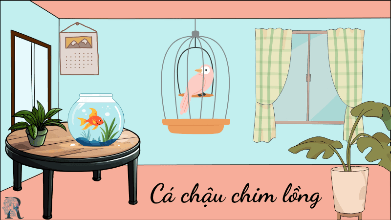 Cá chậu chim lồng