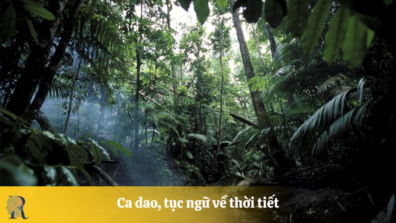 Ca dao, tục ngữ về thời tiết