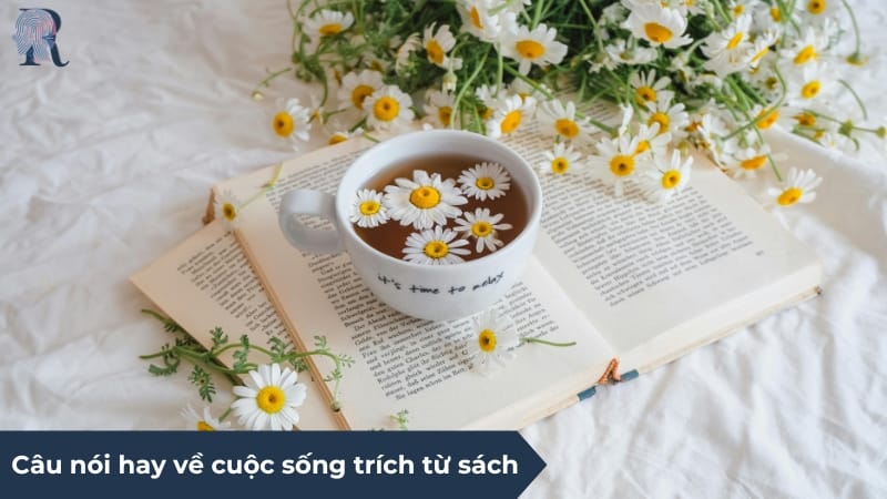 Sách là nguồn tri thức bất tận, giúp bạn có thêm cảm hứng trong cuộc sống