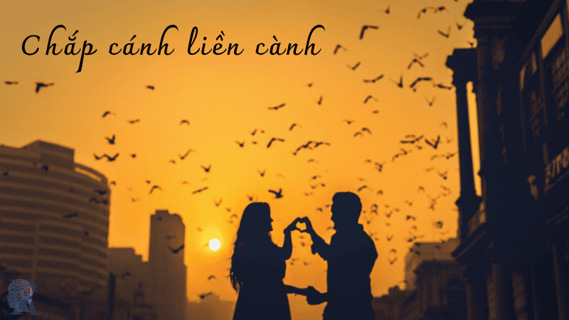 Chắp cánh liền cành
