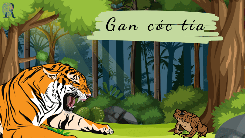 Gan cóc tía