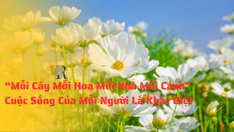 Mỗi Cây Mỗi Hoa Mỗi Nhà Mỗi Cảnh - Cuộc Sống Của Mỗi Người Là Khác Biệt