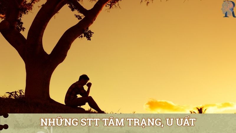 Đăng ảnh buồn với những stt tâm trạng, u uất