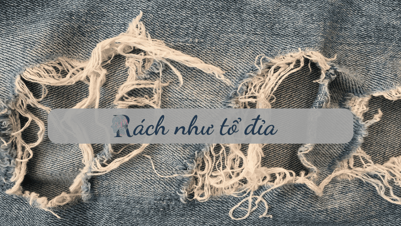 Rách như tổ đỉa