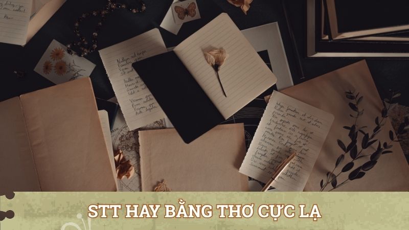 STT hay bằng thơ cực lạ, cực chất