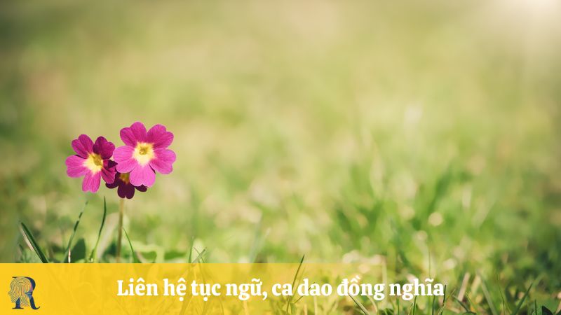 Liên hệ tục ngữ, ca dao đồng nghĩa