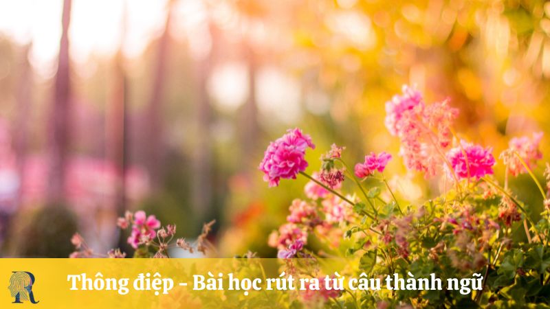 Thông điệp - Bài học rút ra từ câu thành ngữ