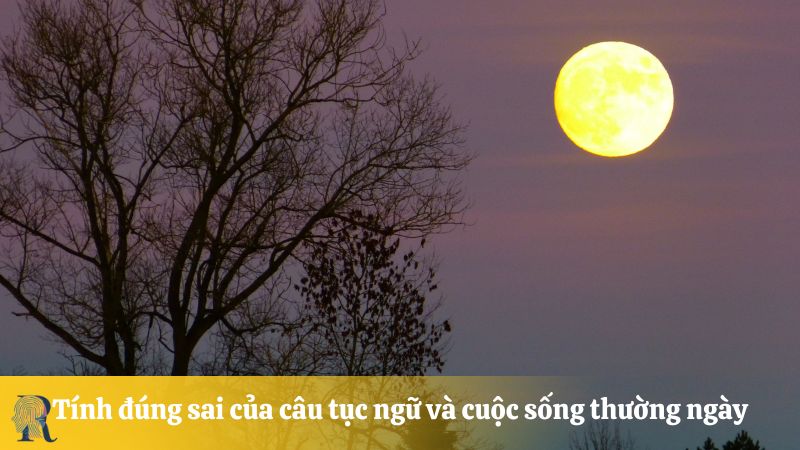 Tính đúng sai của câu tục ngữ và cuộc sống thường ngày
