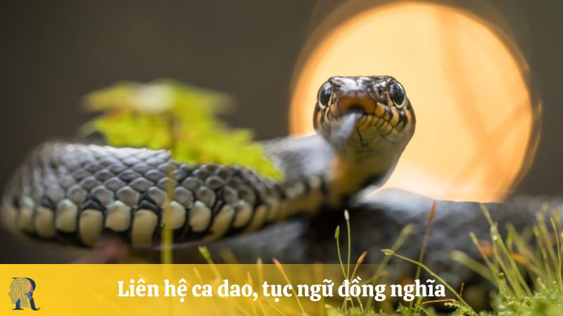 Liên hệ ca dao, tục ngữ đồng nghĩa