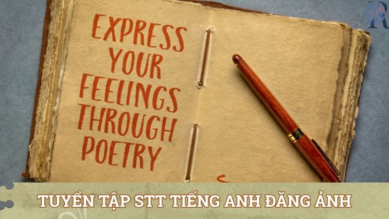 Tuyển tập stt tiếng anh đăng ảnh cuộc sống