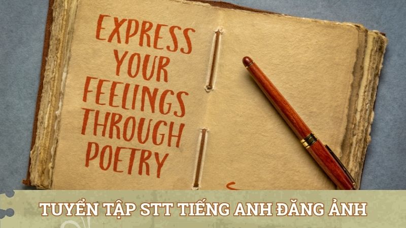 Tuyển tập stt tiếng anh đăng ảnh cuộc sống