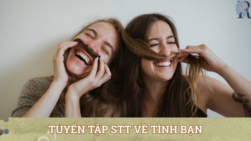 Tuyển tập stt về chuyện tình bạn thân thiết, bền chặt