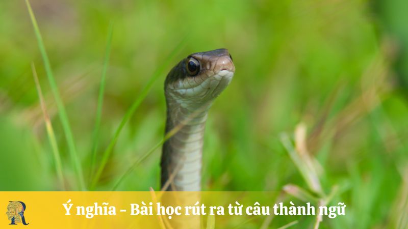 Ý nghĩa - Bài học rút ra từ câu thành ngữ