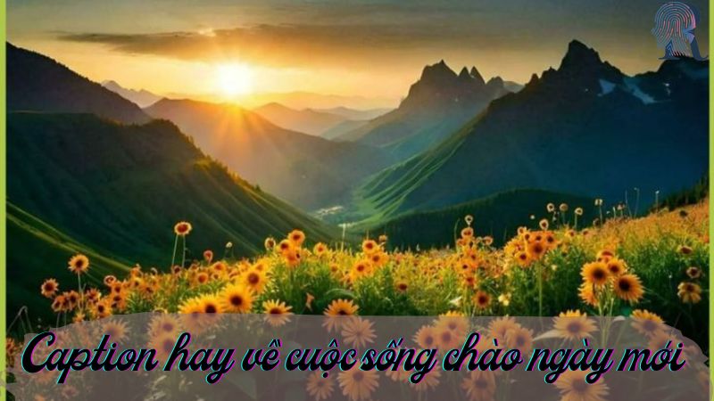 Những caption hay về cuộc sống chào ngày mới