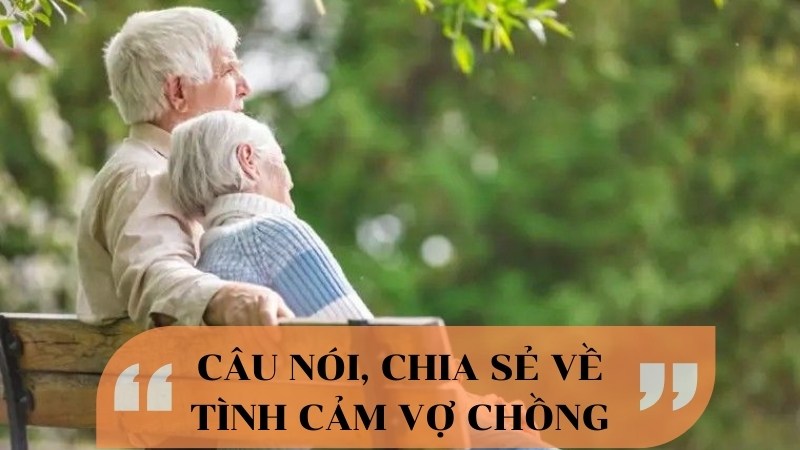 Những câu nói, chia sẻ về tình cảm vợ chồng