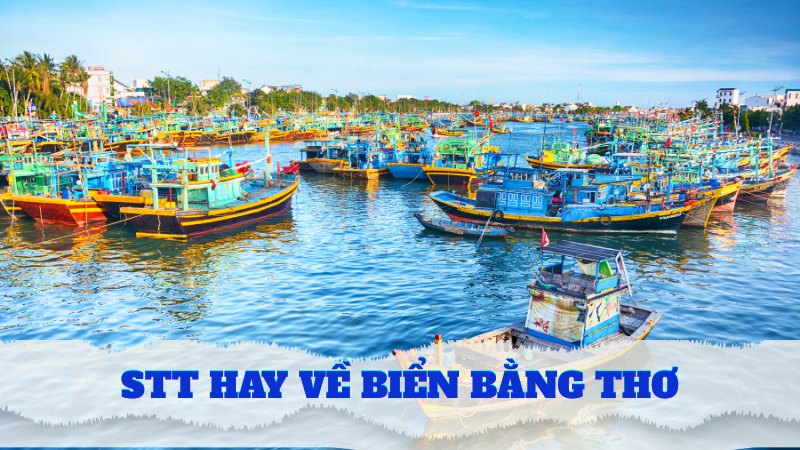 Stt hay về biển bằng thơ