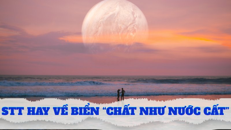 Stt hay về biển “chất như nước cất”