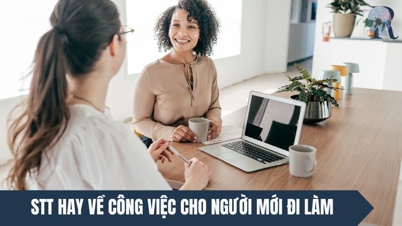 Stt hay về công việc cho người mới đi làm