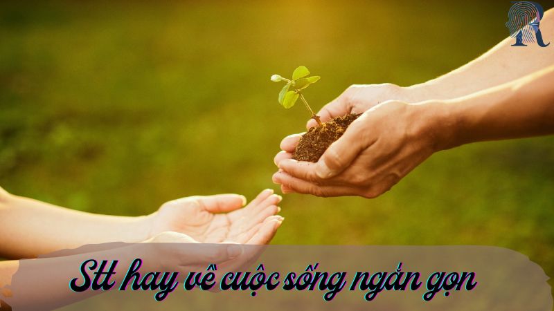 STT hay về cuộc sống ngắn gọn