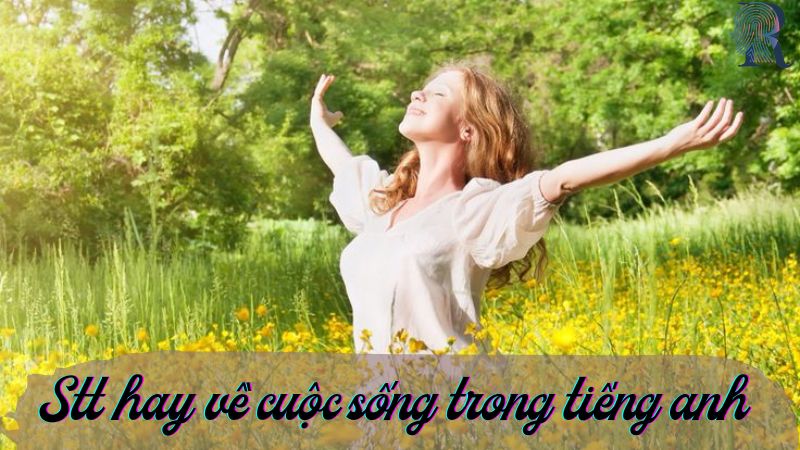 Stt hay về cuộc sống trong tiếng anh