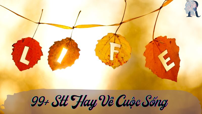 [Tổng Hợp] 99+ Stt Hay Về Cuộc Sống Ý Nghĩa Nhất Đừng Bỏ Lỡ
