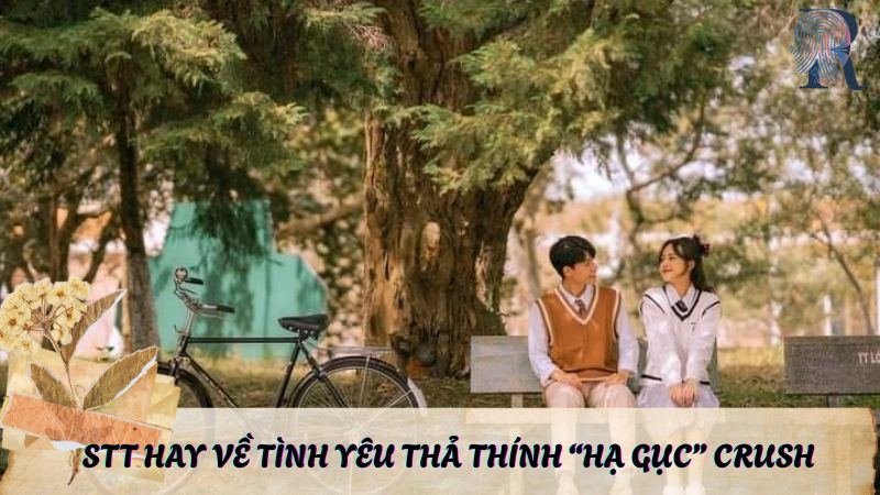 Stt hay về tình yêu thả thính hạ gục crush