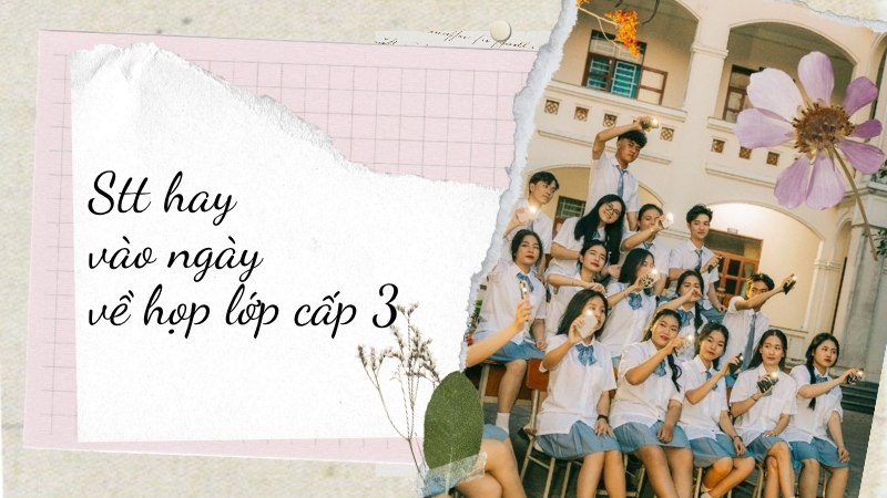 Stt hay vào ngày về họp lớp cấp 3
