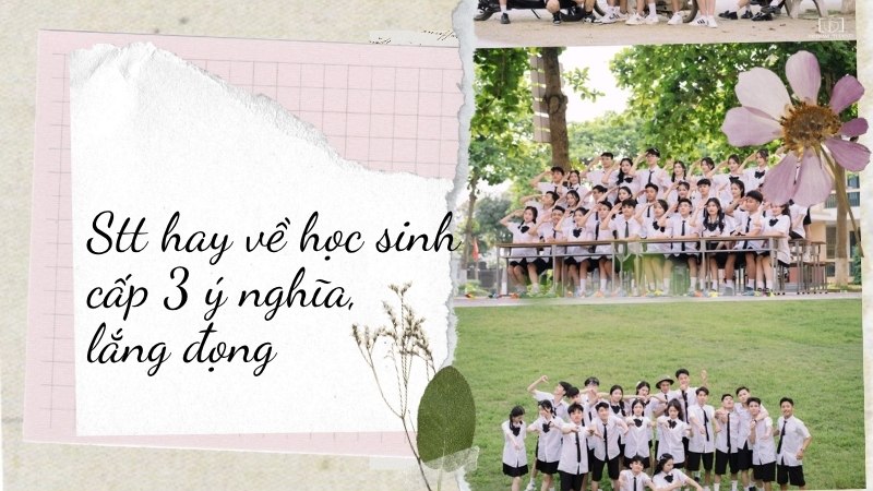 Stt hay về học sinh cấp 3 ý nghĩa, lắng đọng