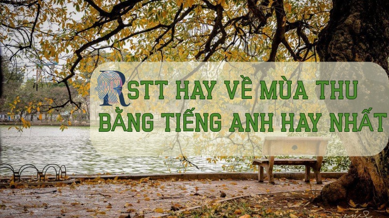 Stt hay về mùa thu bằng tiếng Anh hay nhất
