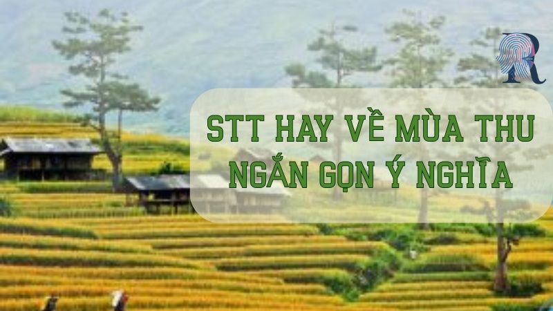 Stt hay về mùa thu ngắn gọn, ý nghĩa