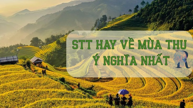 Stt hay về mùa thu ý nghĩa nhất