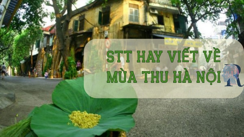 Stt hay viết về mùa thu Hà Nội
