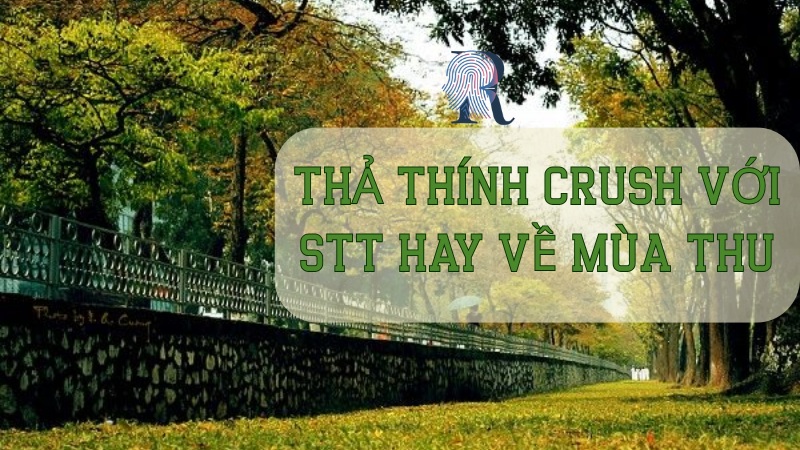 Thả thính crush với stt hay về mùa thu