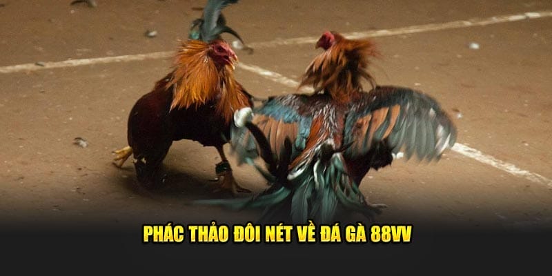 88vv, bệ phóng đưa đam mê đá gà bước vào kỷ nguyên số