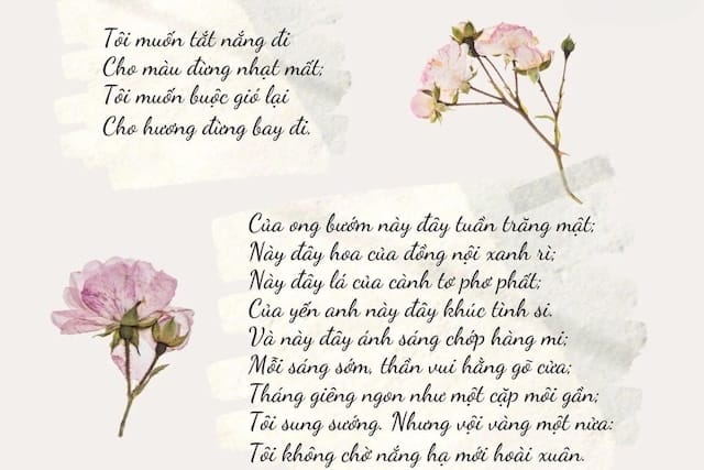Bài thơ Vội vàng của Xuân Diệu