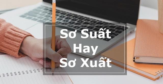 Tìm hiểu cách sử dụng sơ xuất hay sơ suất chính xác nhất