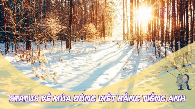 Caption, status về mùa đông viết bằng tiếng Anh