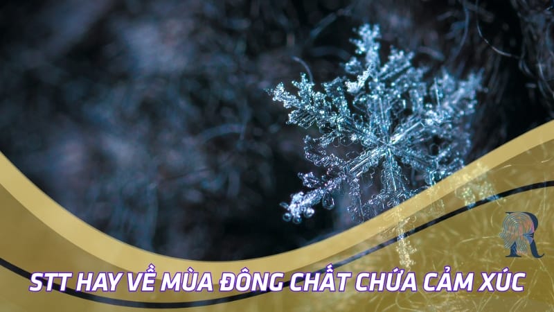 Những stt hay về mùa đông chất chứa cảm xúc