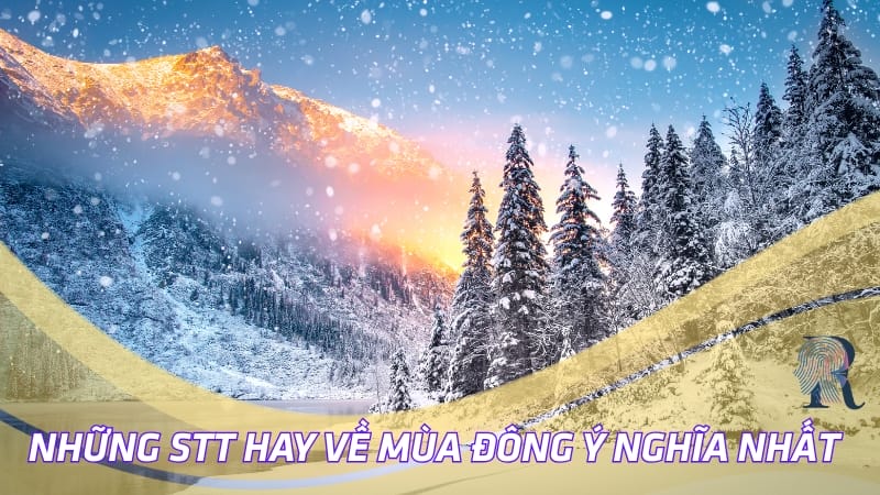 Những stt  hay về mùa đông ý nghĩa nhất
