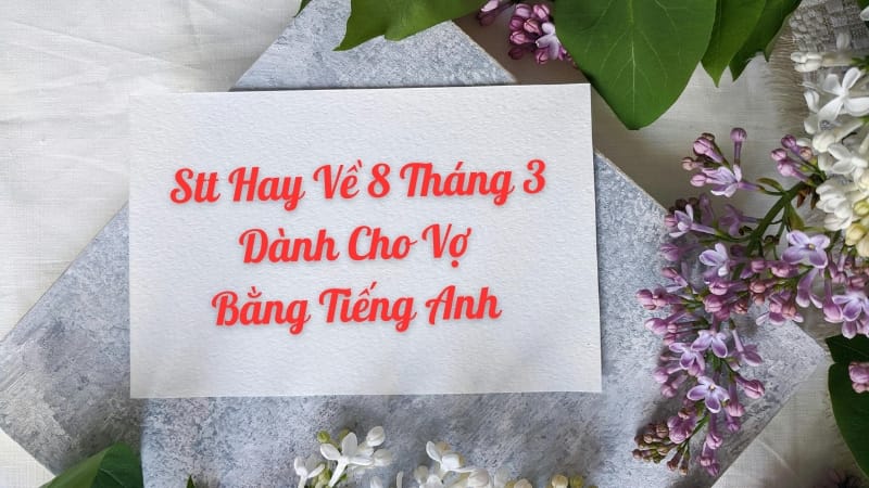 Stt hay về 8 tháng 3 dành cho vợ bằng tiếng Anh