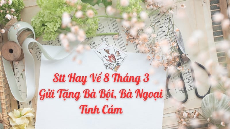 Stt hay về 8 tháng 3 gửi tặng bà nội, bà ngoại tình cảm